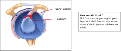 Fig.3