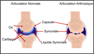 Fig.3