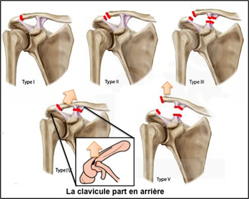 DIMENSIONE CROMATICA main image 0