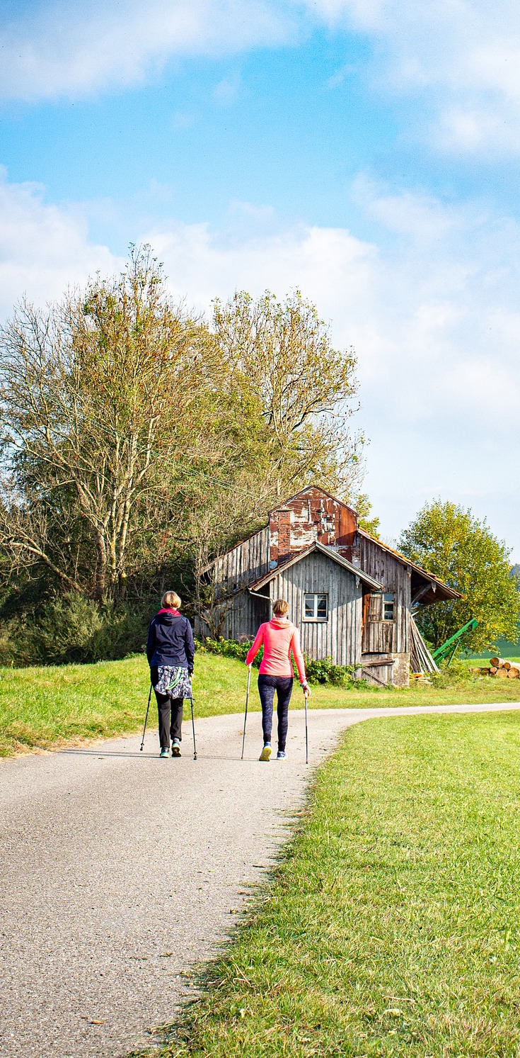 Comment soigner la lombalgie par le sport ?Marche nordique - 